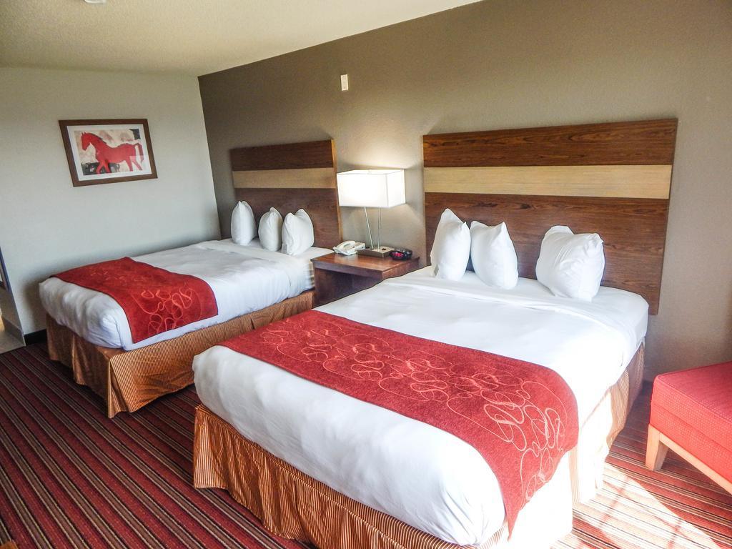 Country Inn & Suites By Radisson, Dfw Airport South, Tx Irving Kültér fotó